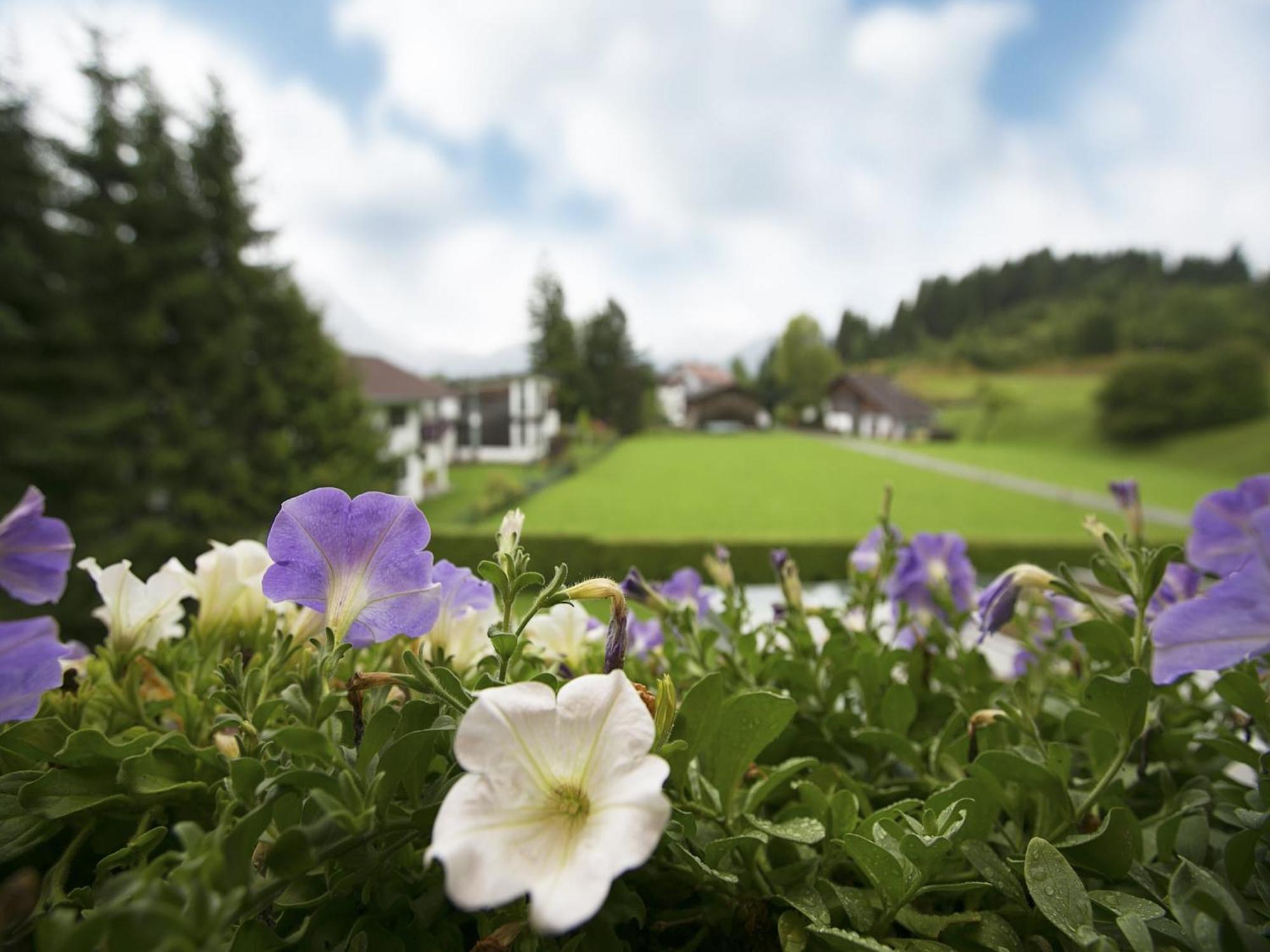 Apartment In W Ngle Tyrol With Walking Trails Near Reutte Zewnętrze zdjęcie