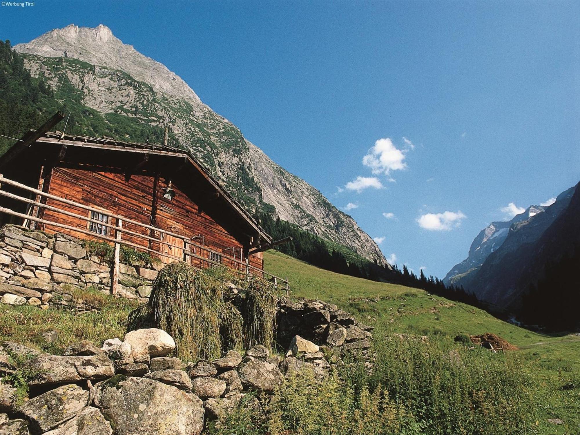 Apartment In W Ngle Tyrol With Walking Trails Near Reutte Zewnętrze zdjęcie