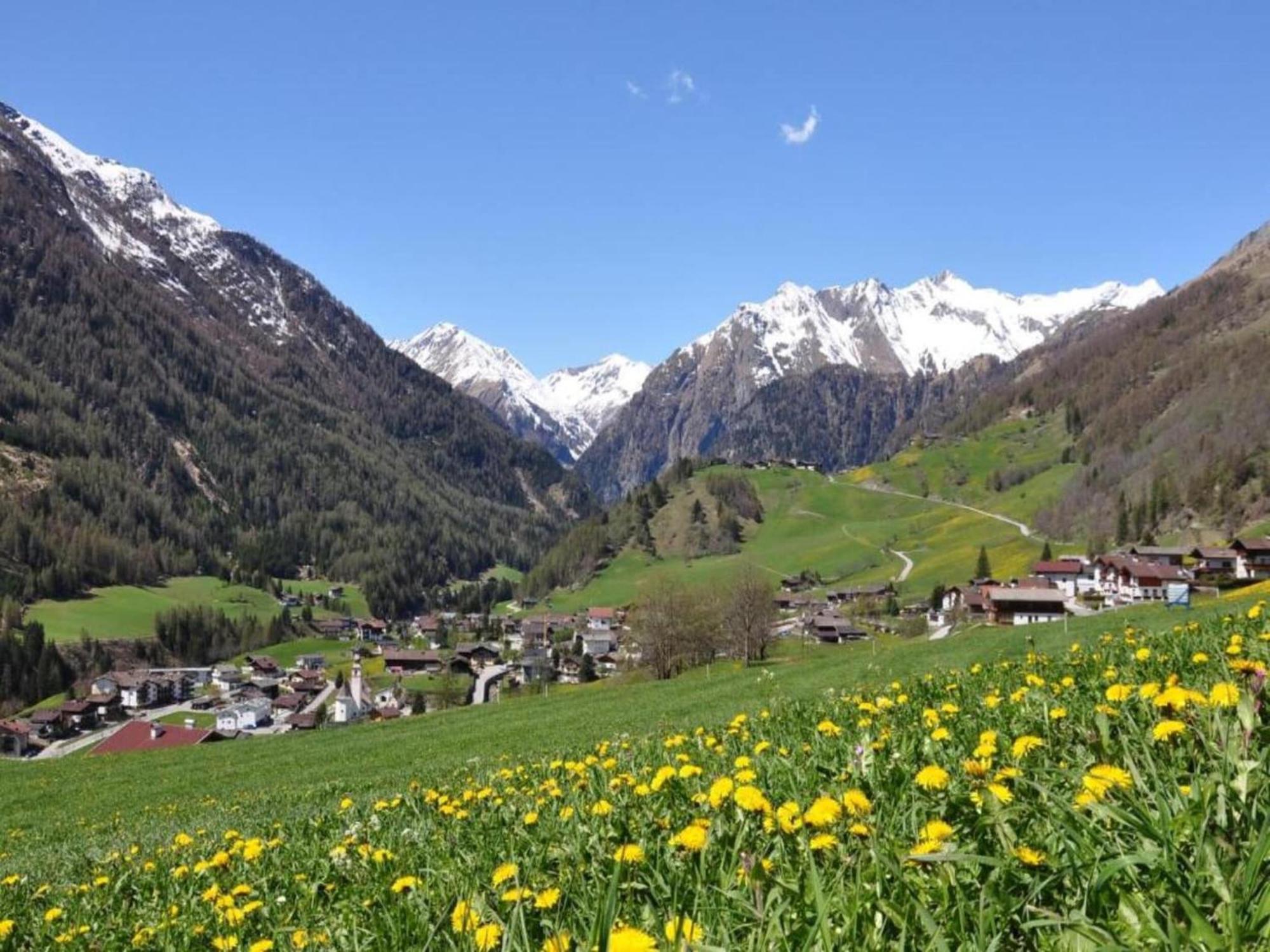 Apartment In W Ngle Tyrol With Walking Trails Near Reutte Zewnętrze zdjęcie